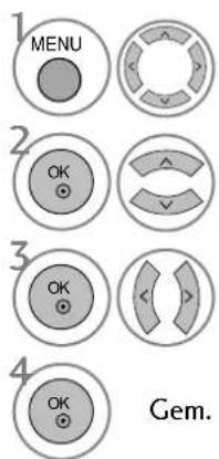 1 MENU 2 OK 3 OK 4 OK Gem.