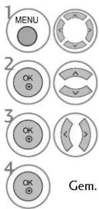 1 MENU 2 OK 3 OK 4 OK Gem.
