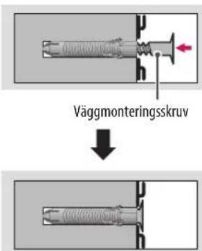 Väggmonteringsskruv