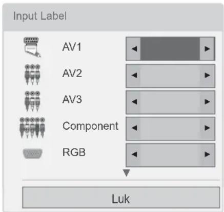 Input Label AV1 AV2 AV3 Component RGB Luk