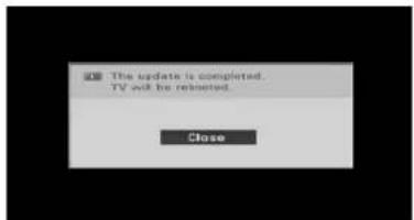 LG 50PG3000 - \* Ved softwareopdatering - 3