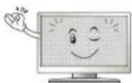 LG 43LH541V - WARNING! - 24
