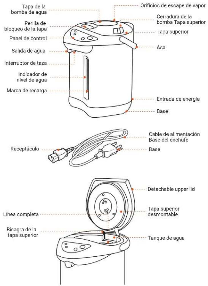Tapa de la bomba de agua Perilla de bloqueo de la tapa Panel de control Salida de agua Interruptor de taza Indicador de nivel de agua Marca de recarga Orificios de escape de vapor Cerradura de la bomba Tapa superior Tapa superior Asa Entrada de energía Base Receptáculo Cable de alimentación Base del enchufe Base Detachable upper lid Línea completa Tapa superior desmontable Bisagra de la tapa superior Tanque de agua