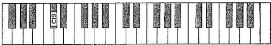 Hohner D 160 - UNTERES MANUAL. - 1