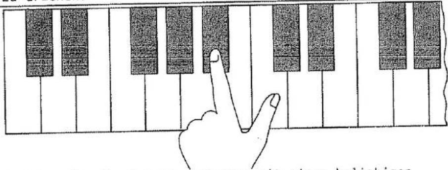Hohner D 160 - C-MOLL - 1