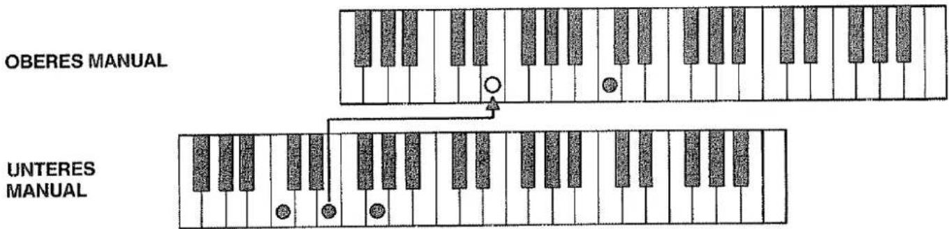 Hohner D 160 - HOHNERCHORD - 3