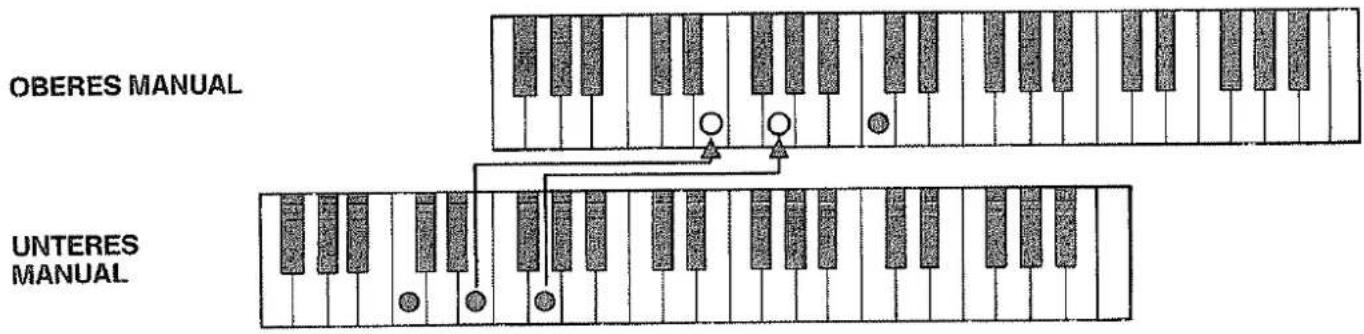 Hohner D 160 - HOHNERCHORD - 2