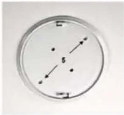 NEDIS DTCTSC10WT2 - Specifiche Tecniche - 2