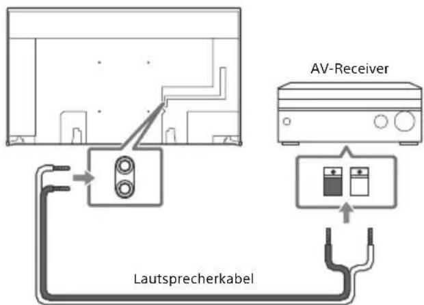 Lautsprecherkabel AV-Receiver