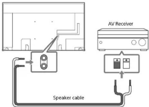AV Receiver Speaker cable