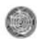 NARDI FEX0757XN4 - Thermostat light - 2