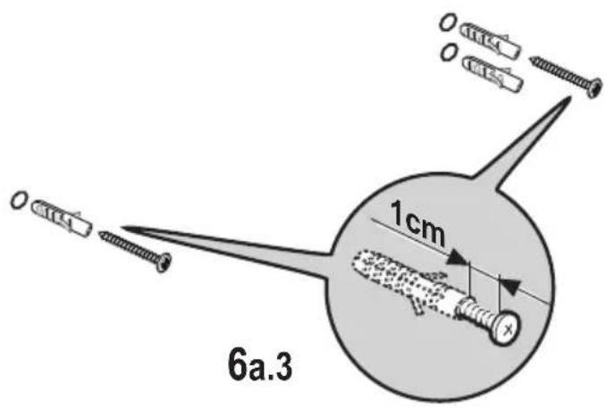 6a.3 1cm