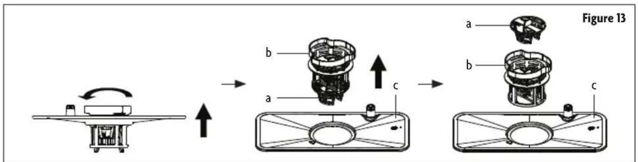 Figure 13 a b c a b c