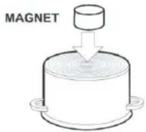 MAGNET