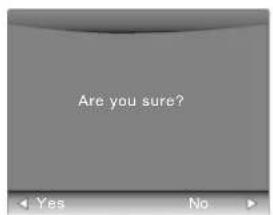Are you sure?