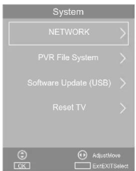 System NETWORK > PVR File System > Software Update (USB) > Reset TV >