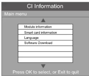 Logik L20HE18 - CI (Common Interface) - 4