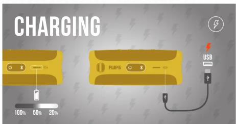 CHARGING FLIPS USB