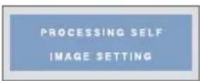 LG W2043T-PF - Tilslutning til pc'en - 2