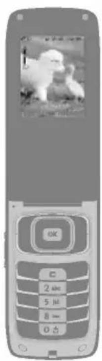 LG T5100 - Bemærk - 1