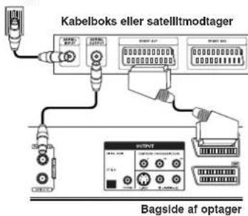 Kabelboks eller satellitmodtager Bagside af optager