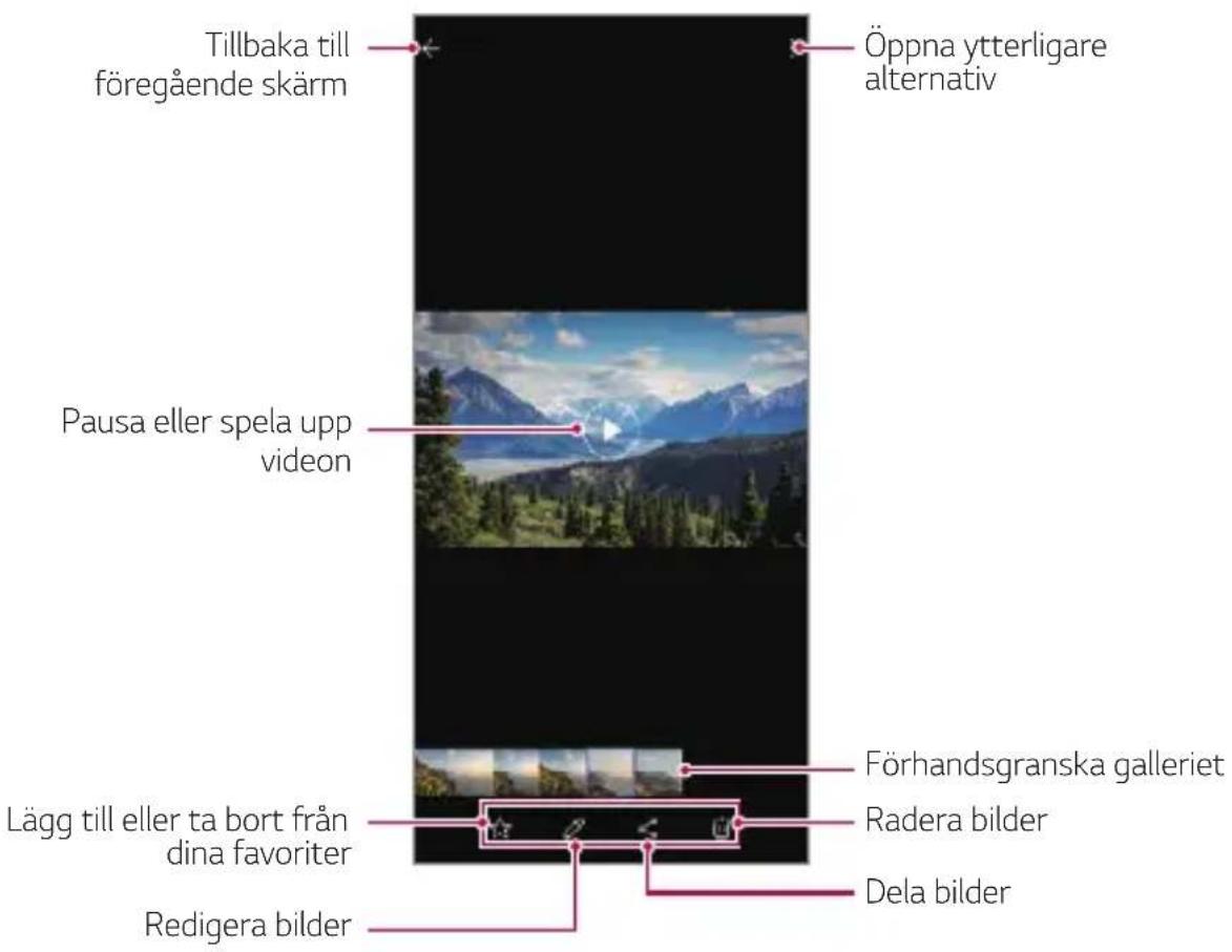 Tillbaka till föregående skärm Pausa eller spela upp videon Lägg till eller ta bort från dina favoriter Redigera bilder Öppna ytterligare alternativ Förhandsgranska galleriet Radera bilder Dela bilder