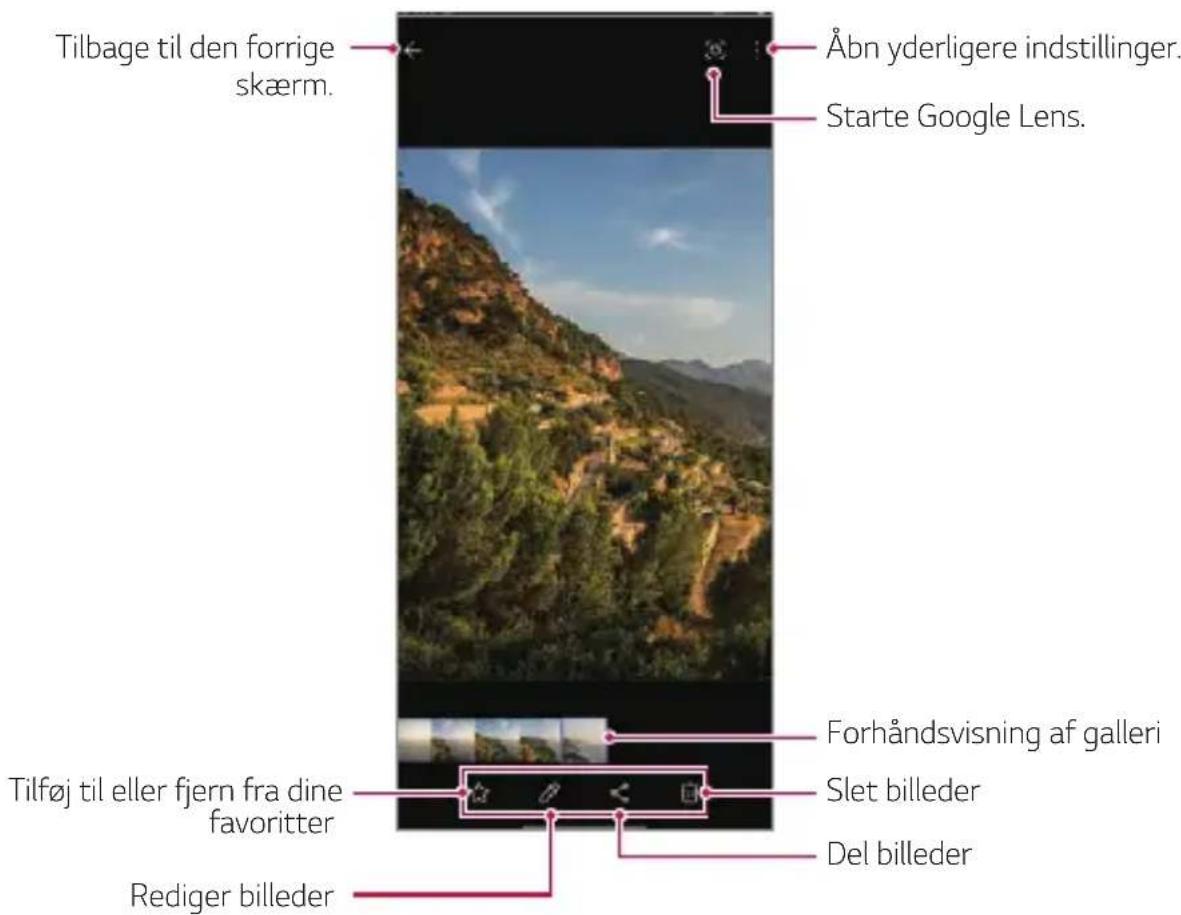 Tilbage til den forrige skærm. Åbn yderligere indstillinger. Starte Google Lens. Tilføj til eller fjern fra dine favoritter Rediger billeder Forhåndsvisning af galleri Slet billeder Del billeder
