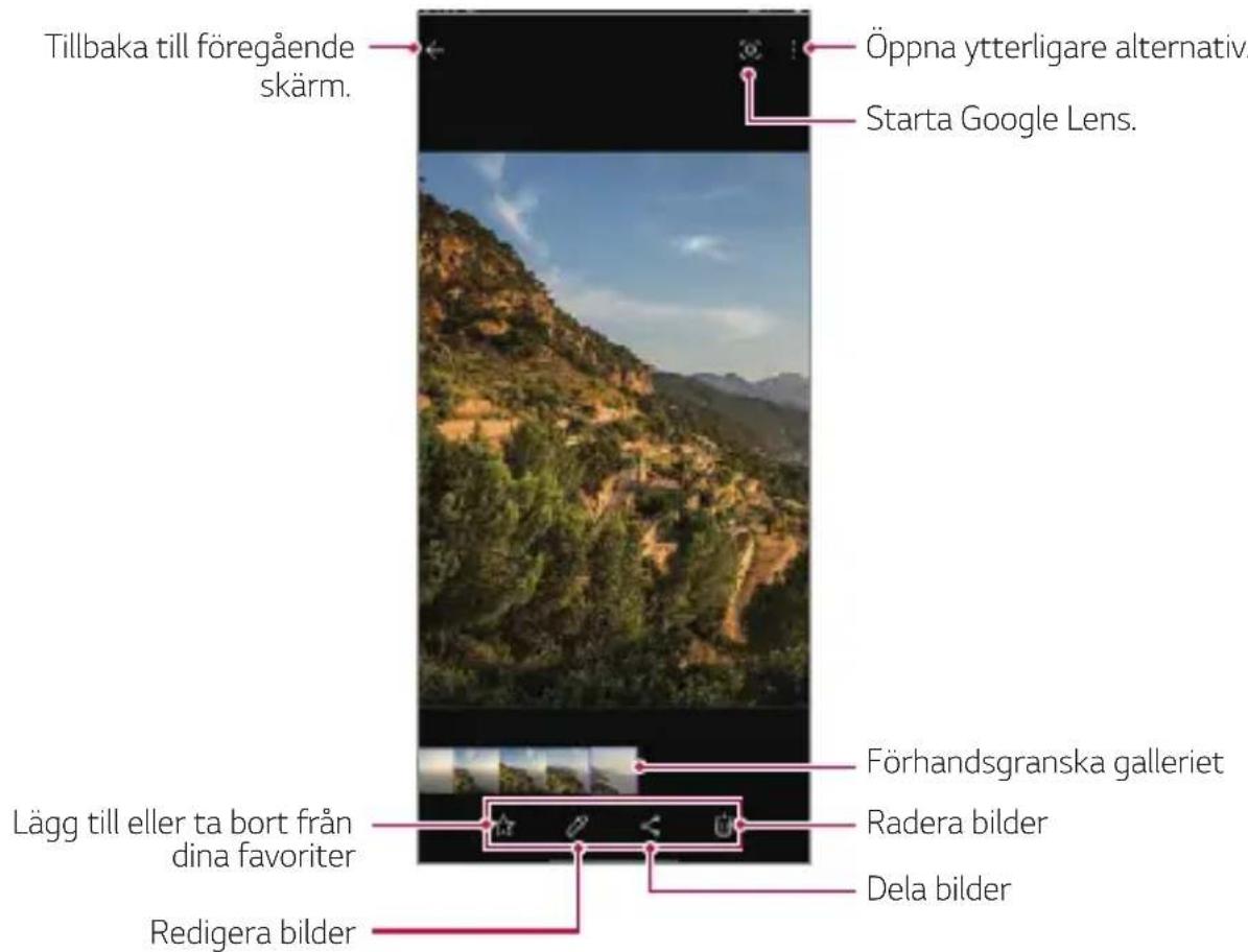 Tillbaka till föregående skärm. Öppna ytterligare alternativ. Starta Google Lens. Förhandsgranska galleriet Radera bilder Dela bilder Lägg till eller ta bort från dina favoriter Redigera bilder