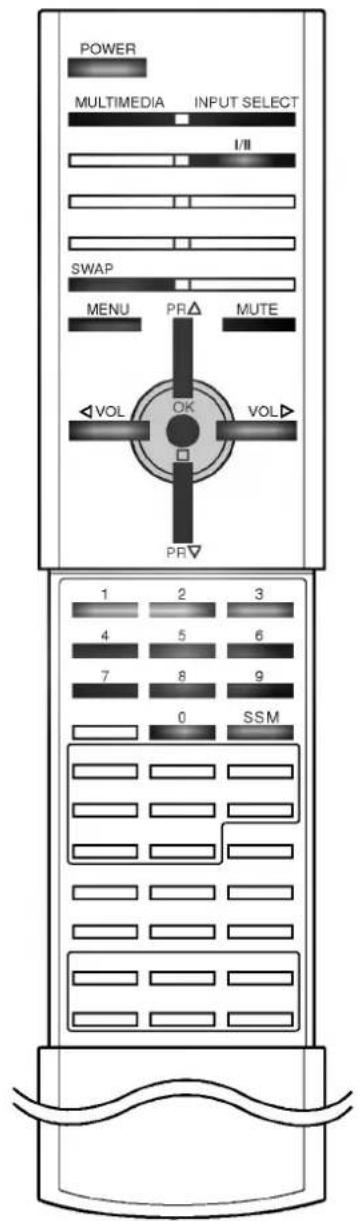 POWER MULTIMEDIA INPUT SELECT I/II SWAP MENU PR △ MUTE VOL OK VOL PR▼ 1 2 3 4 5 6 7 8 9 0 SSM