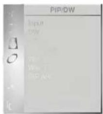 PIP/DW Input DW Output View View 1 PIP ARE
