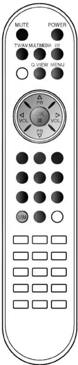 MUTE POWER TV/AV MULTIMEDIA VII Q VIEW MENU PR VOL OK VOL PR SSM