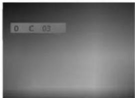 0 C 03