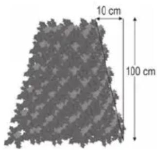 10 cm 100 cm