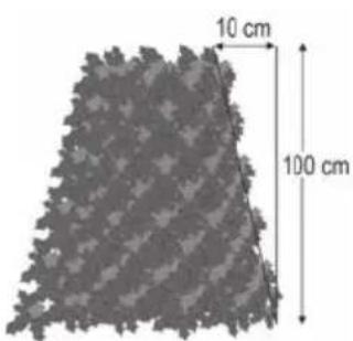 10 cm 100 cm