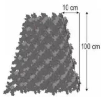 10 cm 100 cm