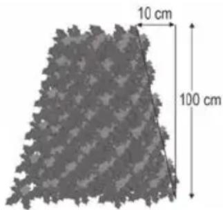 10 cm 100 cm