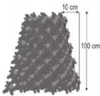 10 cm 100 cm