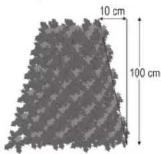 10 cm 100 cm