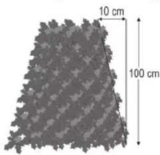 10 cm 100 cm