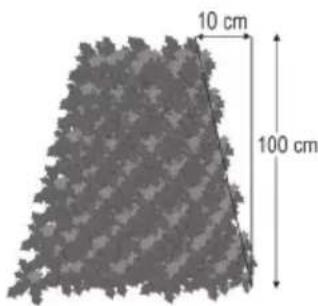 10 cm 100 cm
