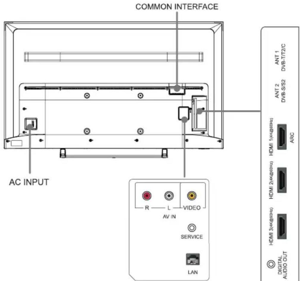 HISENSE H65B7500 - TV Rear - 1