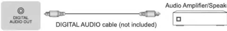 HISENSE H50B7500 - Making Connections - 2