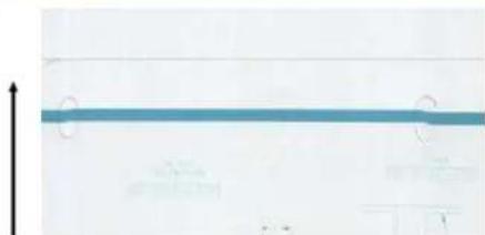 HP DesignJet T830 - Linje afbrydes - 2