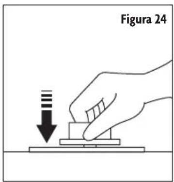 Figura 24