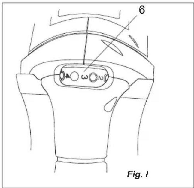 6 Fig. 1