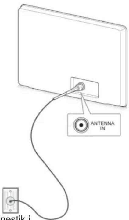 ANTENNA IN nestik i