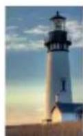 LG W2043TE-PF - Beskrivels - 5