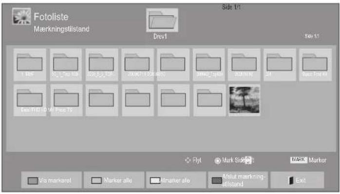 LG 32LD420 - ■ NÅR DE VALGTE FOTOFILER VISES - 1