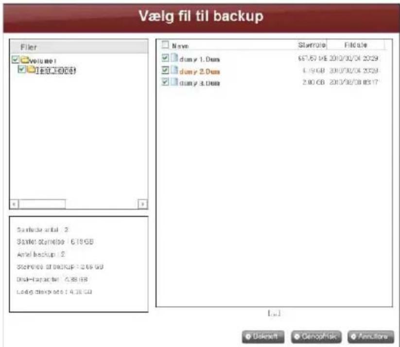 Vælg fil til backup Filer volyu 1.0mm [ ] [ ] [ ] Santlerda antal : 2 Santlerd stortelse / 6.19 GB Antel backup : 2 Storpe 08 of 000UP : 3.65 GB Disk-Clarabel : 4.88 GB Lodg clasp 08 : 4.38 GB Name Stentrola File date dum y 1.Dum 657,67 1/6E 2010/02/04 2029 dum y 2.Dum 4.19 GB 2010/02/04 2029 dum y 3.Dum 2.00 GB 2013/02/08 03:17 [...] Bakemelt Genophisk Annulare