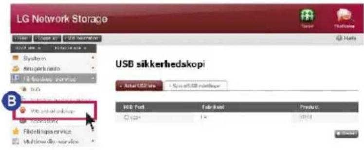 LG Network Storage USB sikkerhedskopi - Aktel USB latre + Spasat USB minderlager USB Port Falkket Product C2014 1.0 2004 B